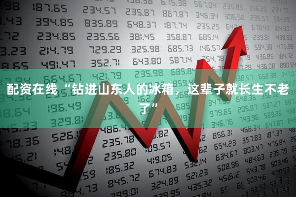 配资在线 “钻进山东人的冰箱，这辈子就长生不老了”