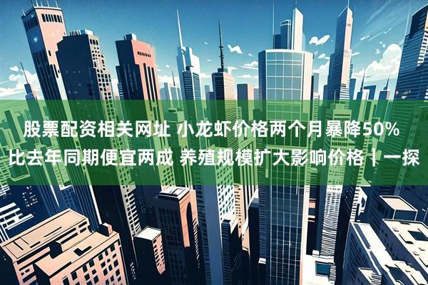 股票配资相关网址 小龙虾价格两个月暴降50% 比去年同期便宜两成 养殖规模扩大影响价格｜一探